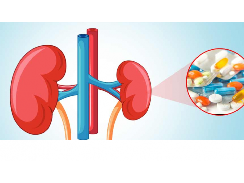 Böbrek Hasarına Neden Olabilen Nefrotoksik (Böbreğe Zararlı) İlaçlar